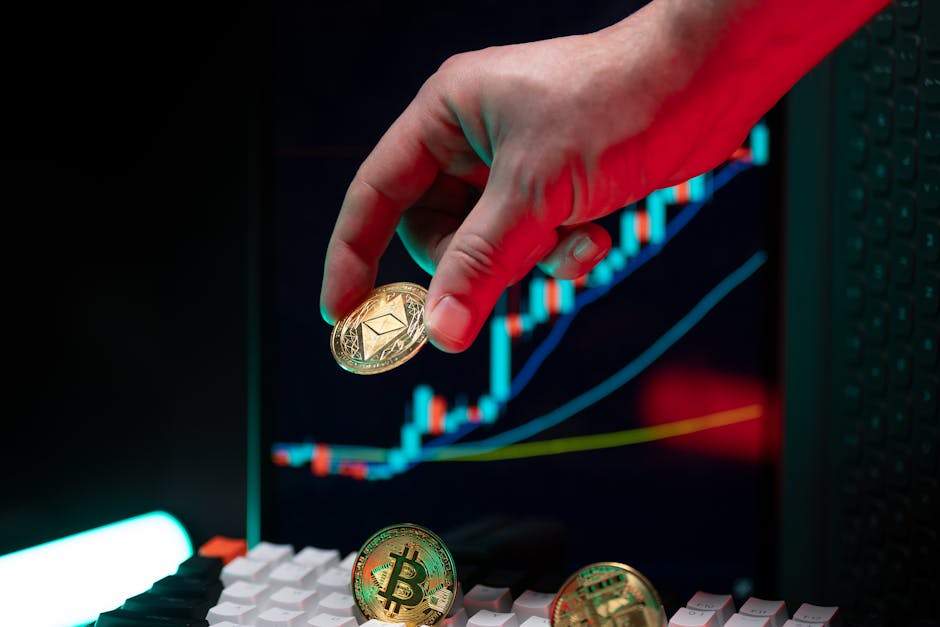 Статистика в личном кабинете EMCD: разбор основных показателей