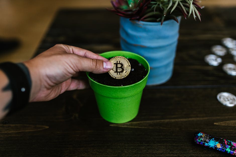 Использование API EMCD Pool для управления доходностью оборудования