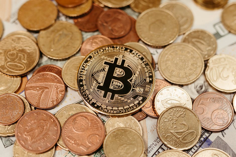 Вывод средств с EMCD на кошелек Bit шаг за шагом
